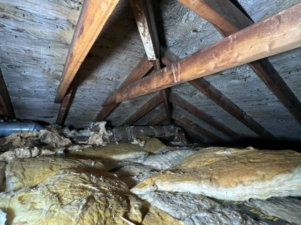 Isolant en laine posé entre les chevrons d'une charpente en bois