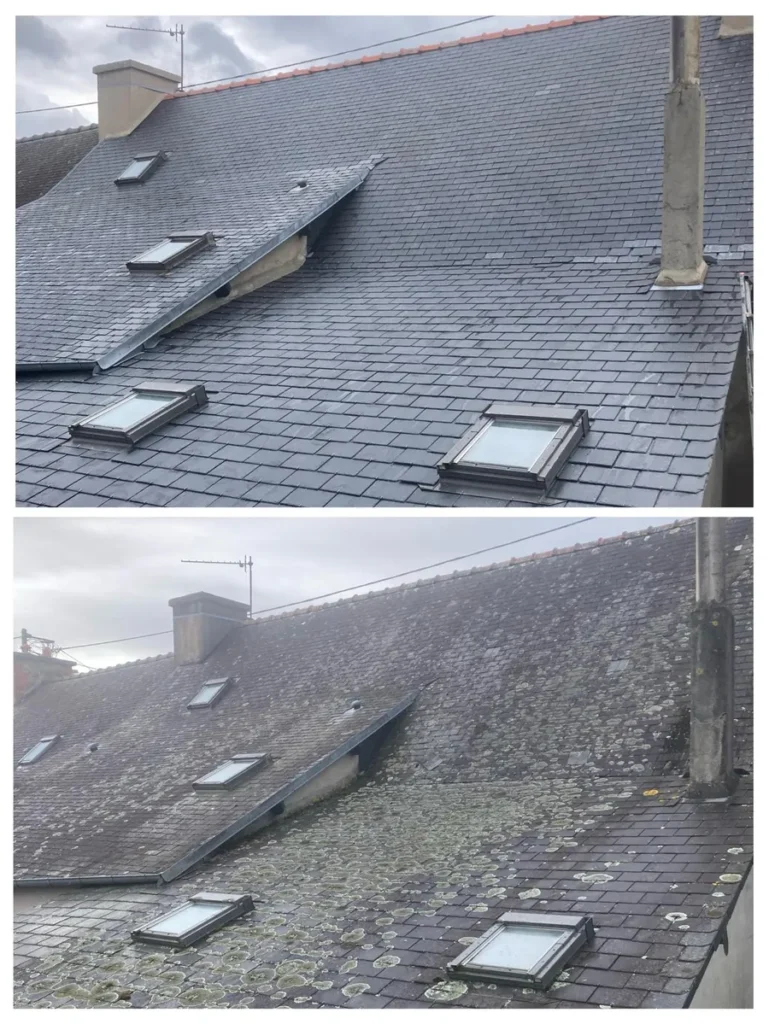 Toiture en ardoise avec fenêtres de toit : nettoyée en haut, couverte de mousse en bas